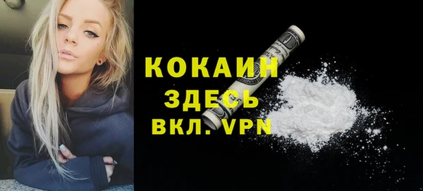 твердый Верхний Тагил