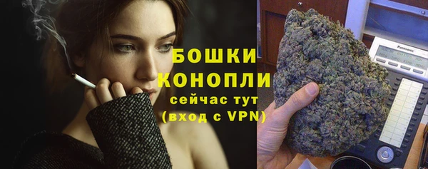 ГАЛЛЮЦИНОГЕННЫЕ ГРИБЫ Надым