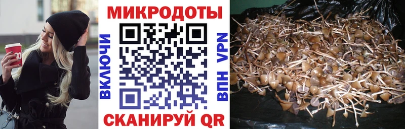 Галлюциногенные грибы Magic Shrooms мега маркетплейс Каменка купить наркотик